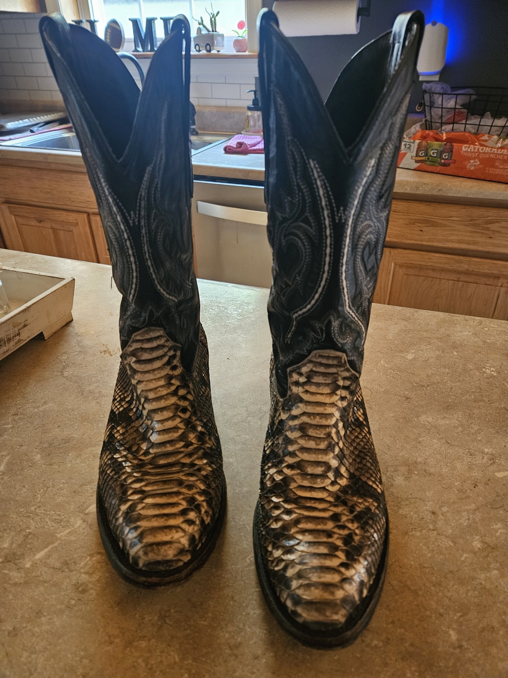 J.B. Dillon Genuine Python Snake Skin Cowboy Boots Men’s 9D JBR 1001 Western